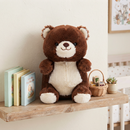 Brown Bear Mink Plush Toy for Kids and Gifting | 25 cm