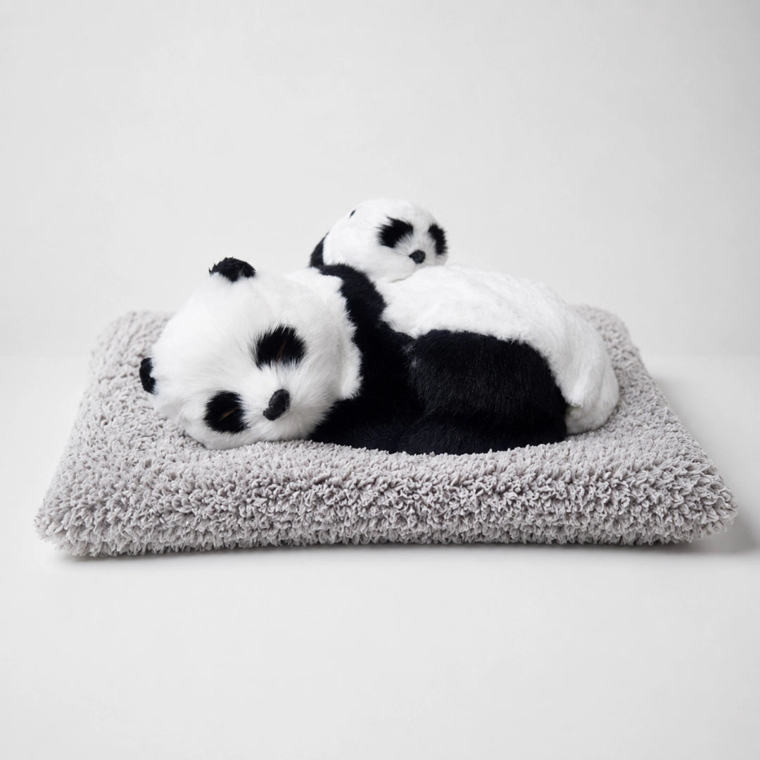 Mother & Baby Panda Soft Toy | Cute Cuddling Duo Panda Plush Toy with Cushion