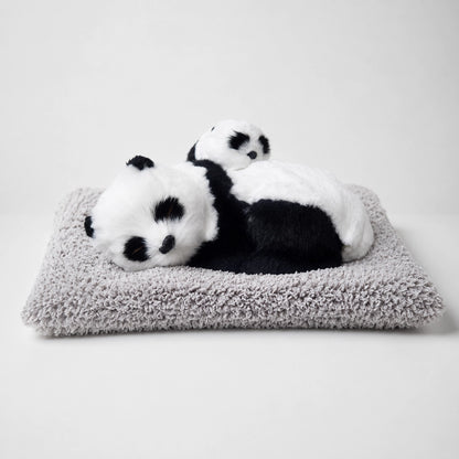 Mother & Baby Panda Soft Toy | Cute Cuddling Duo Panda Plush Toy with Cushion